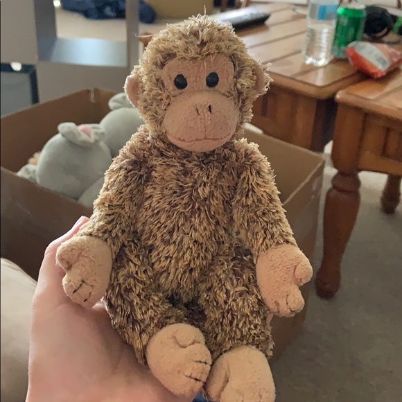 Bonsai - Picture 1 of 6